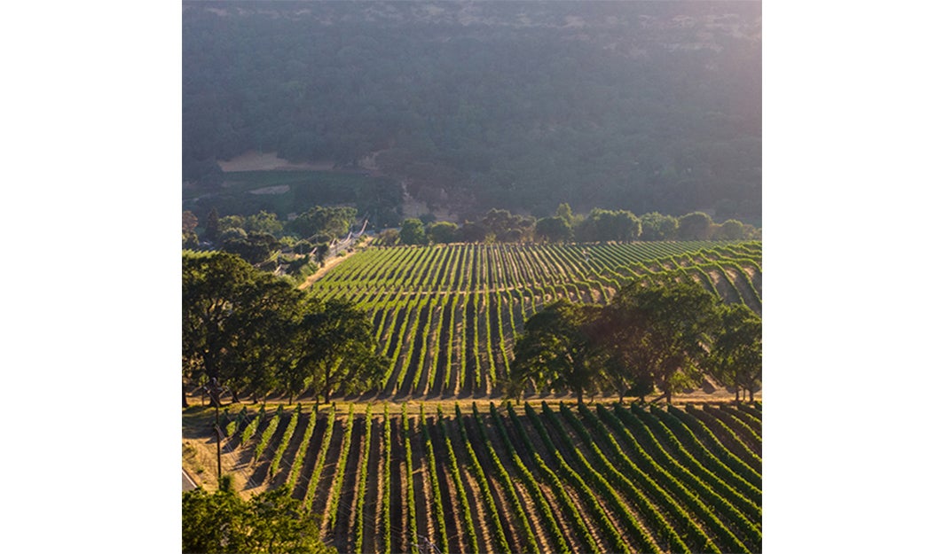 More Info for Fleming's November Wine Dinner - Rooted in Family