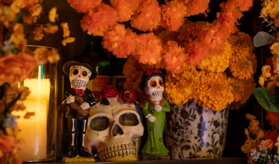 More Info for Día de los Muertos in The Agave Library