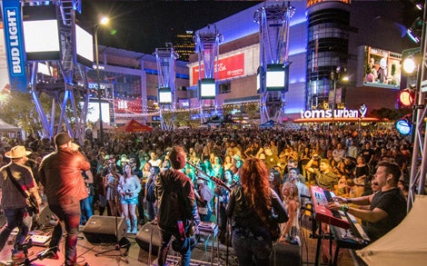 round up gallery 2.jpg